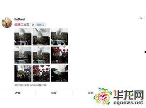 重庆网友爆料最新,揭秘某神秘事件背后真相!